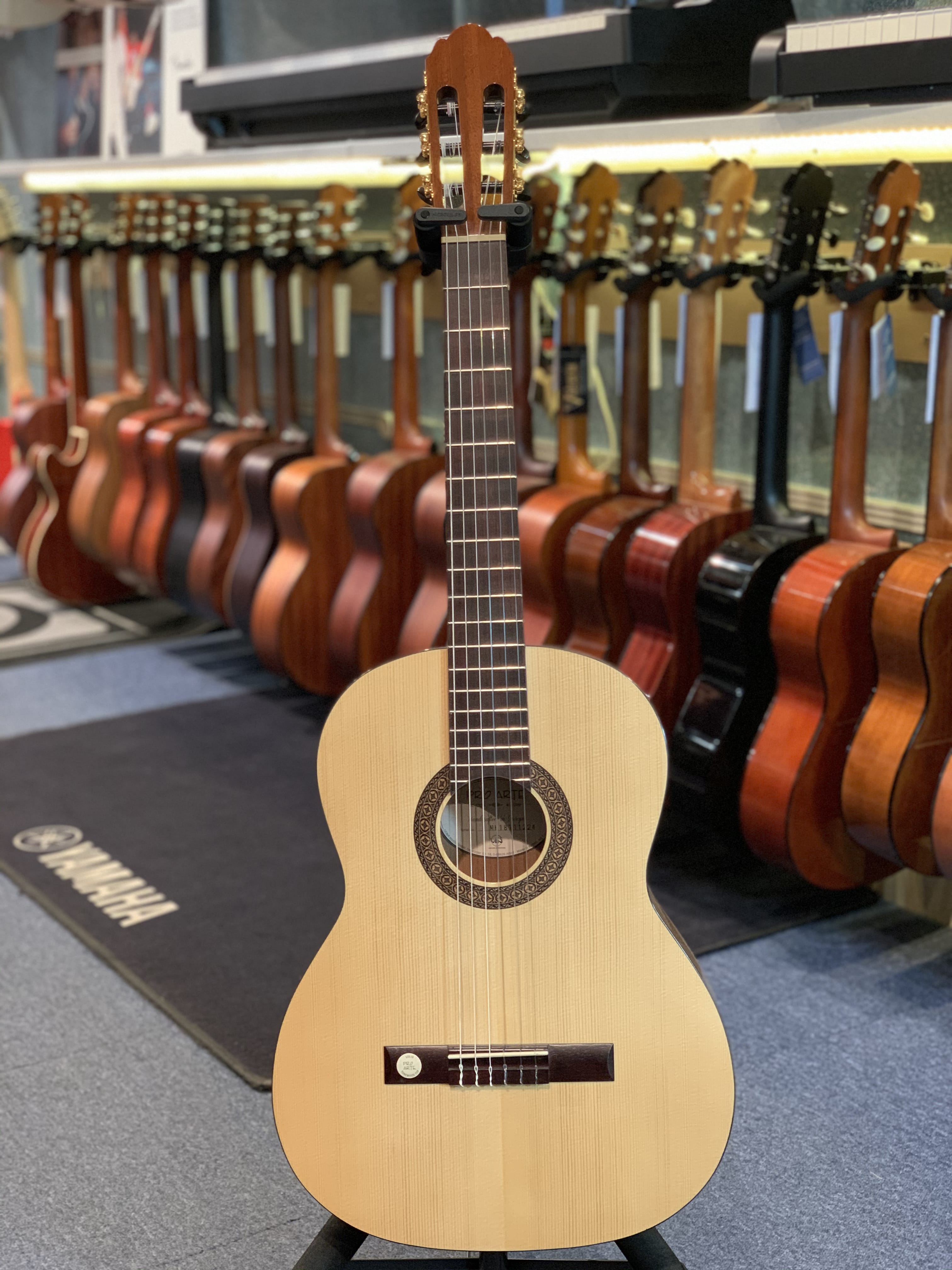 Pro Arte GC130II