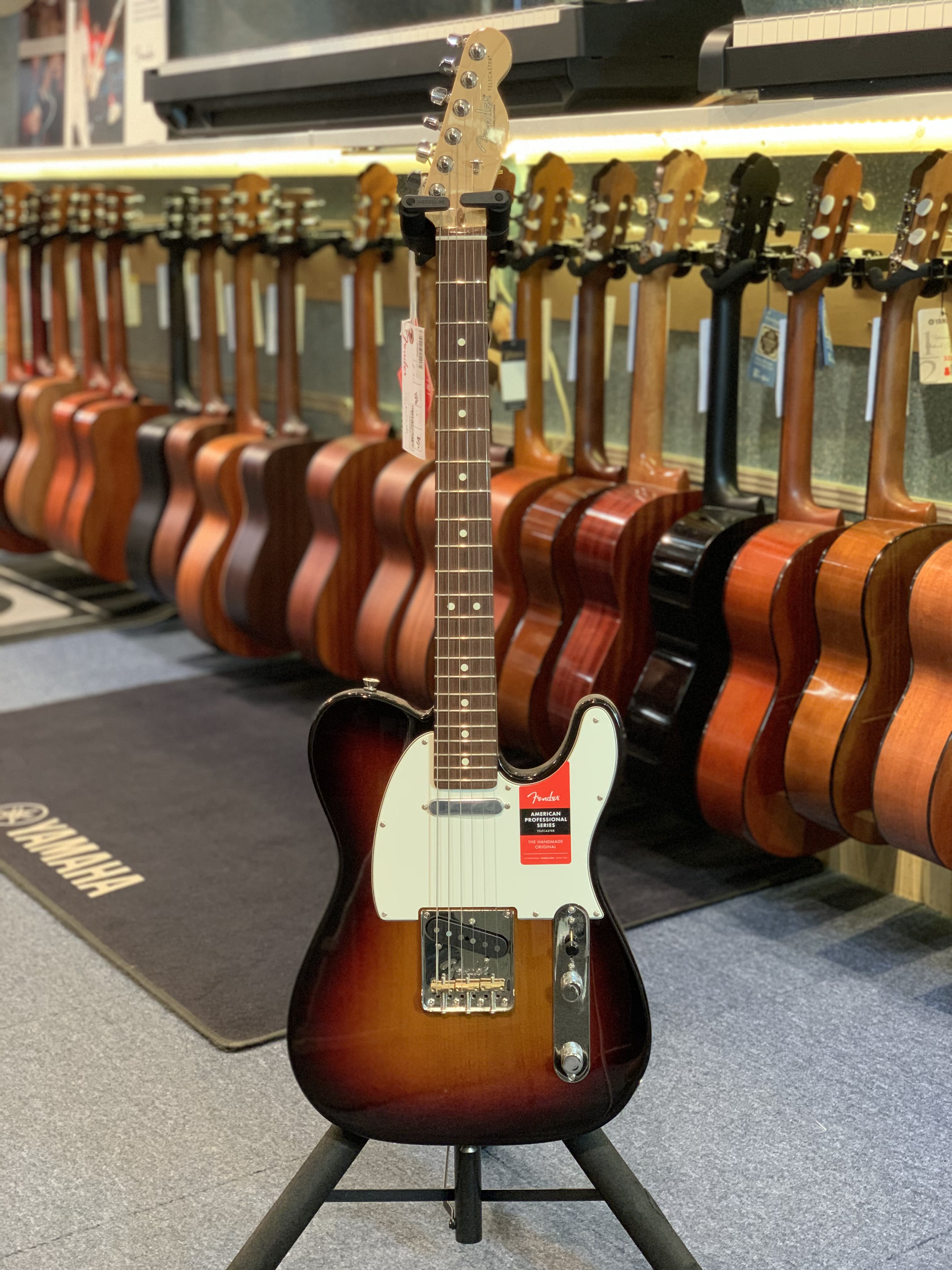 Fender TELECASTER AMERICAN PRO