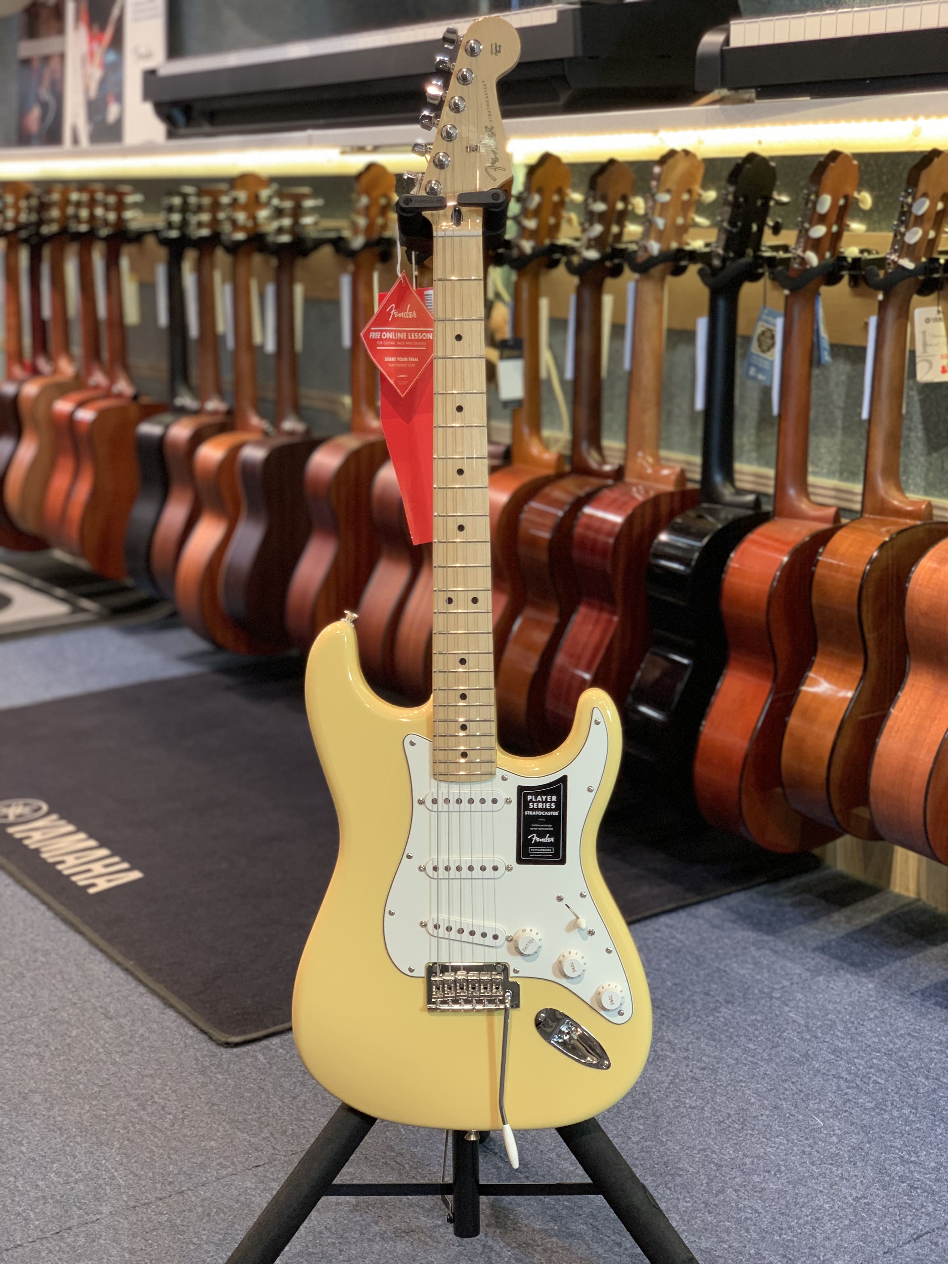 Fender STRATOCASTER PLAYER