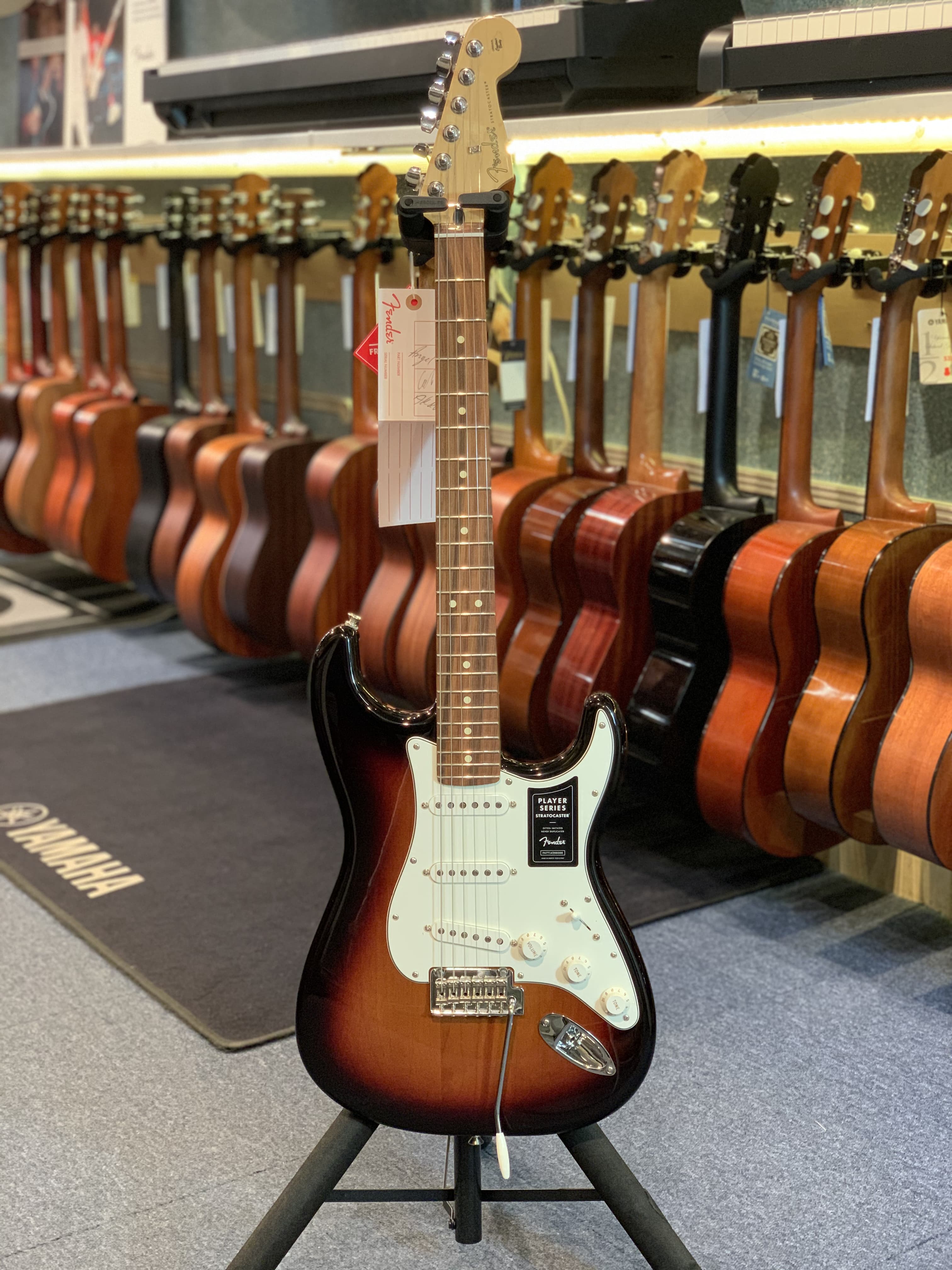 Fender STRATOCASTER PLAYER