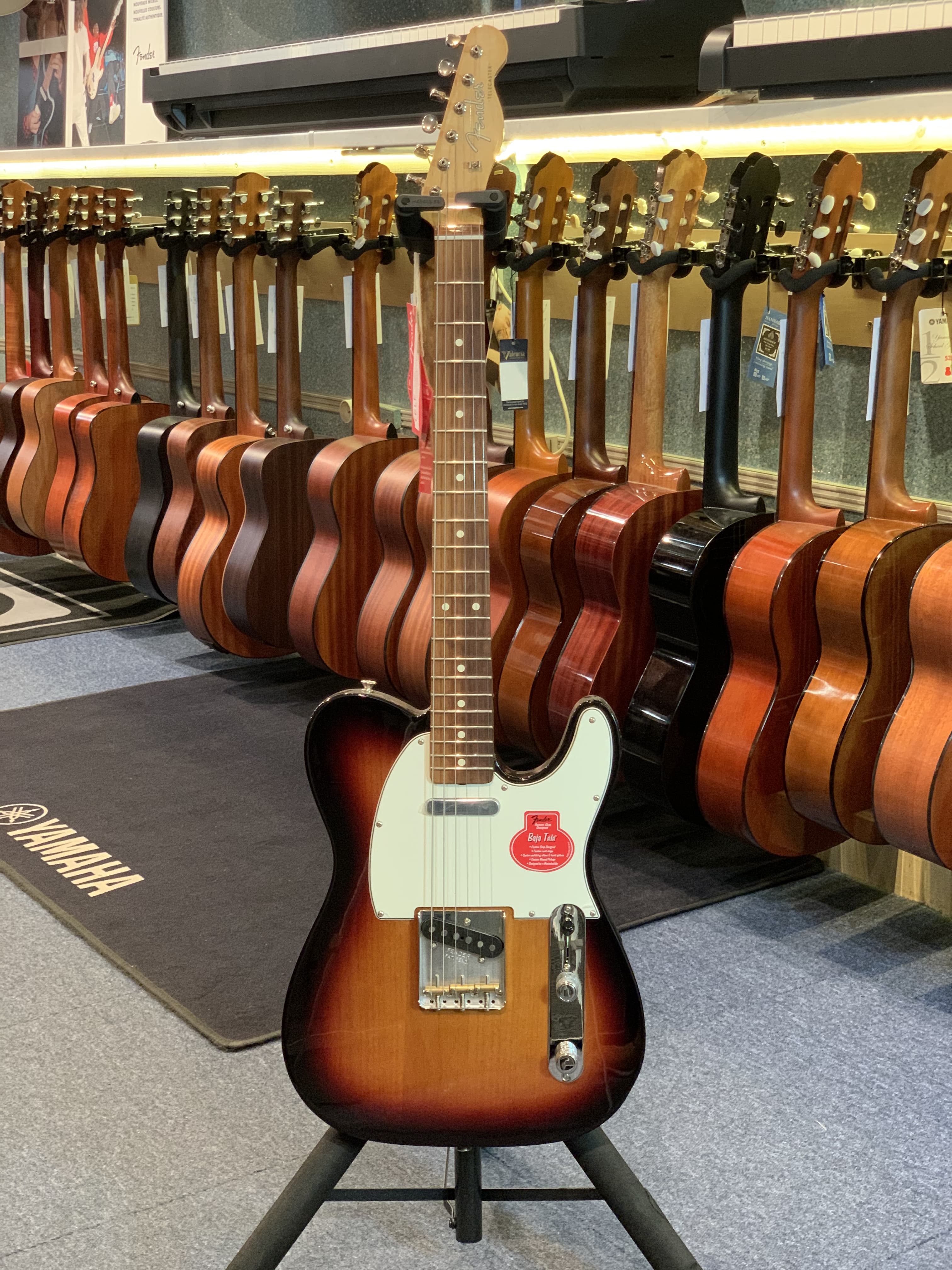 Fender TELECASTER BAJA 60's