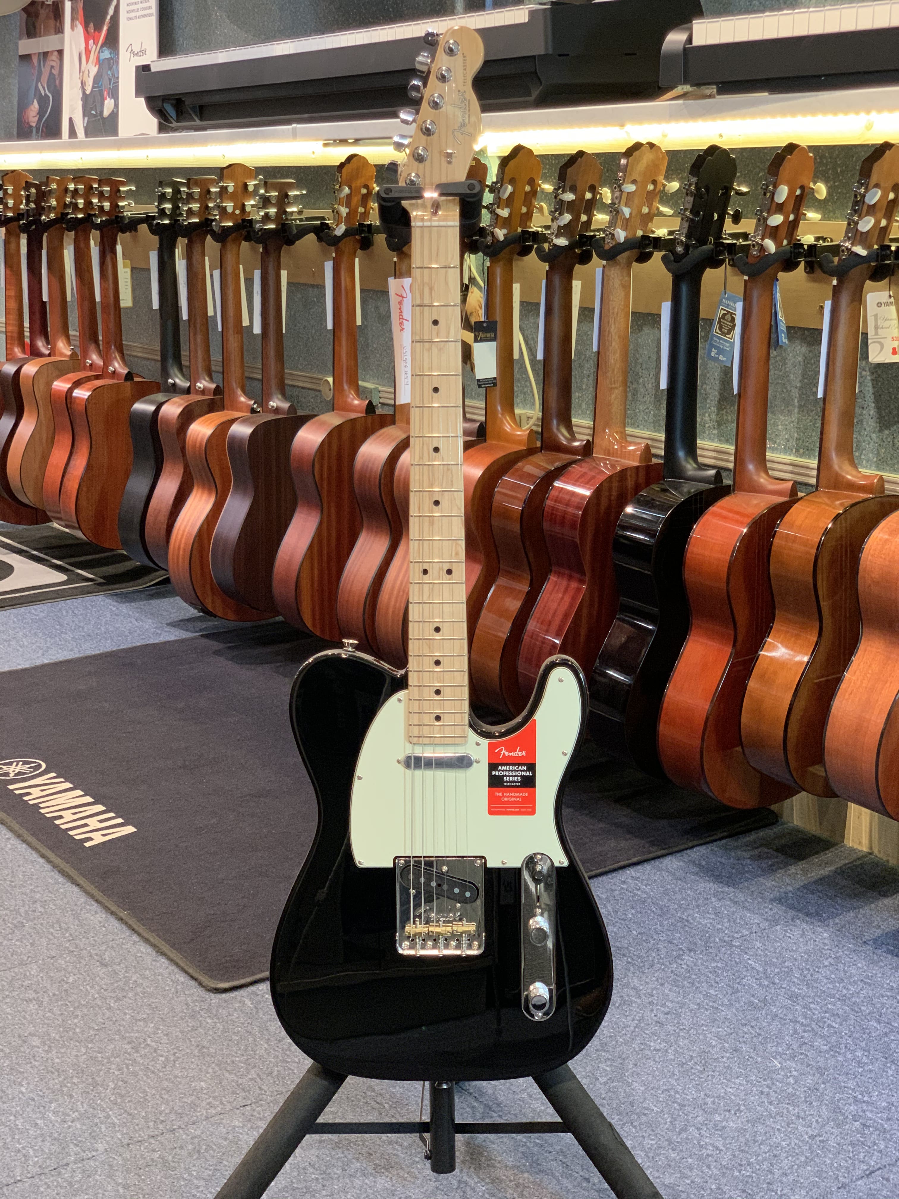 Fender TELECASTER AMERICAN PRO