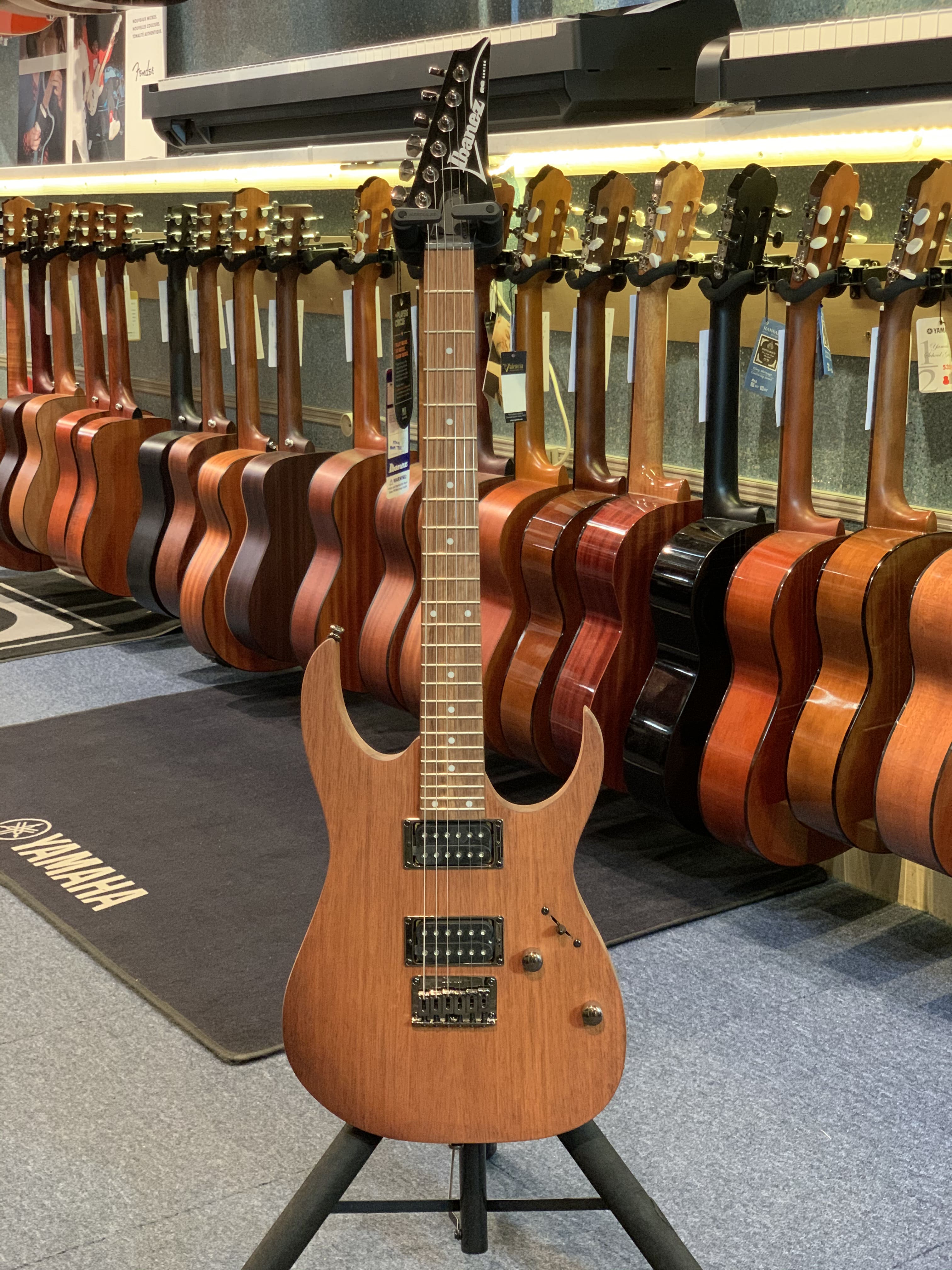 Ibanez RG421 MOL