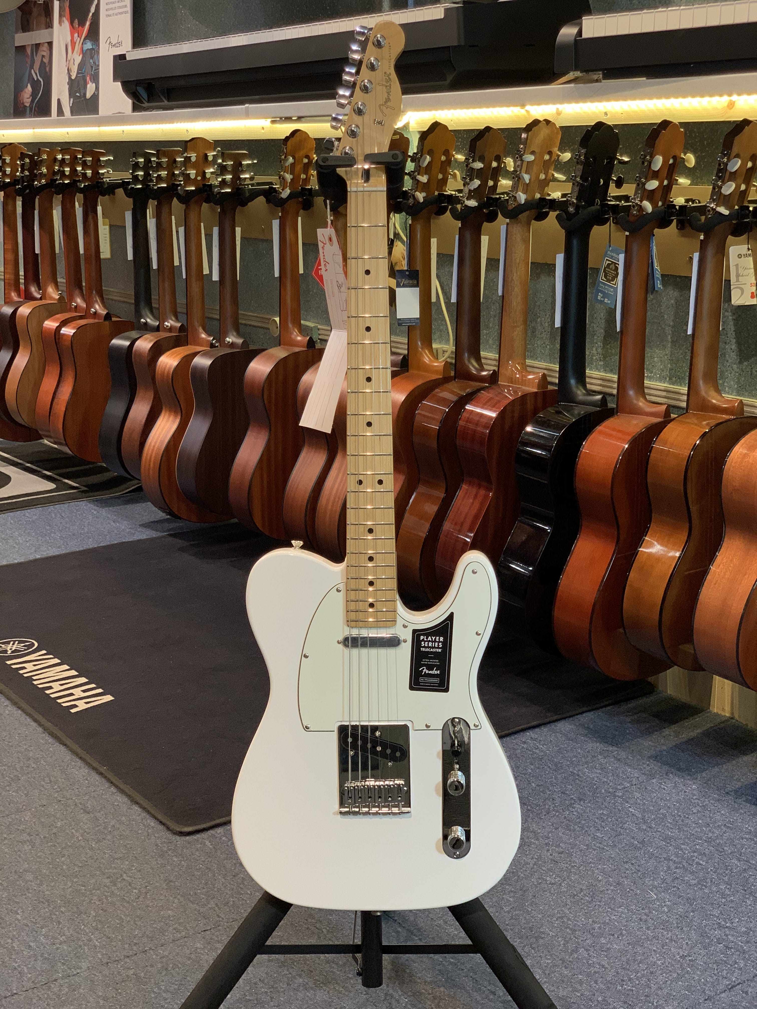 Fender TELECASTER PLAYER