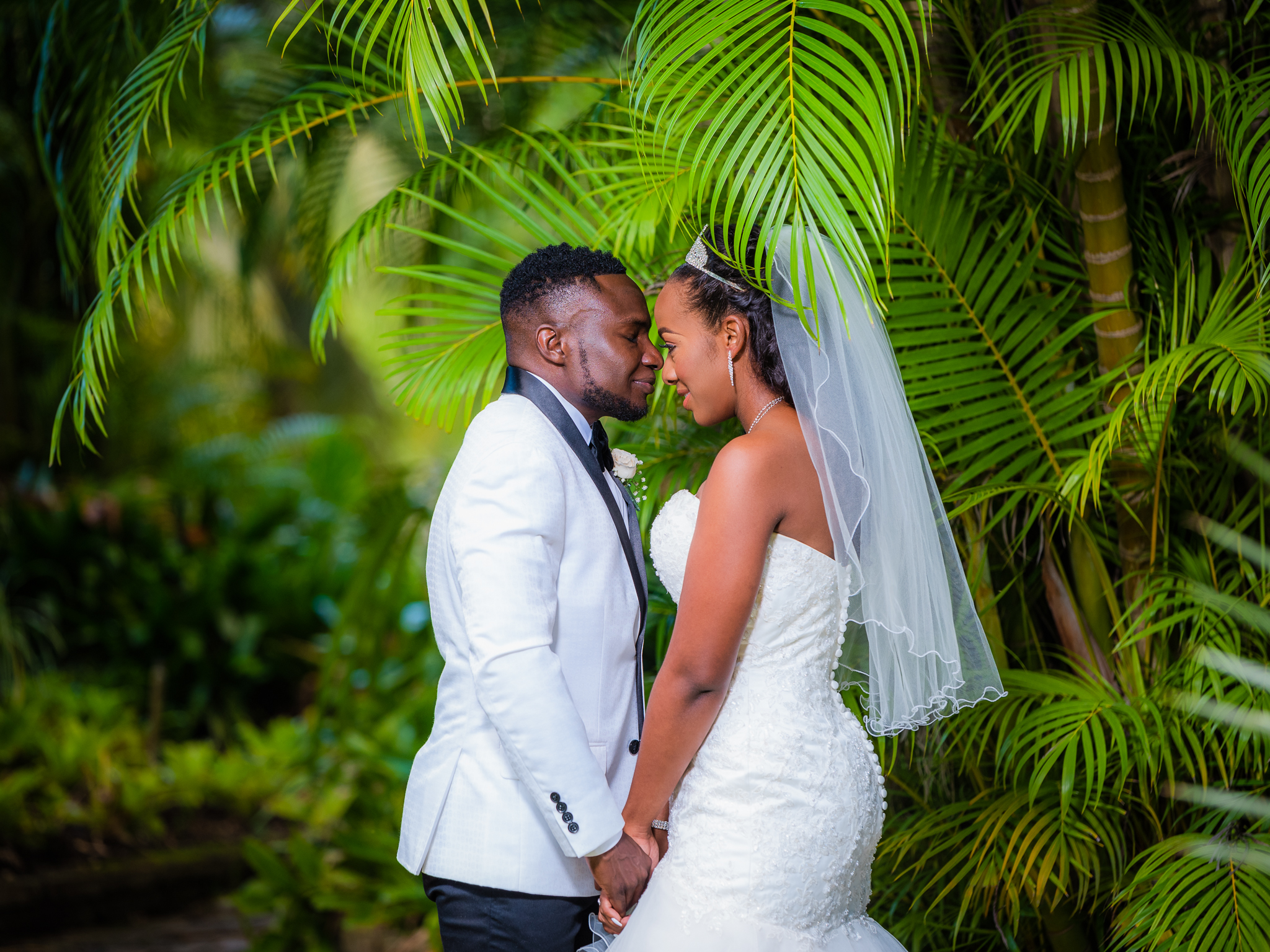 kenneth lim photography office