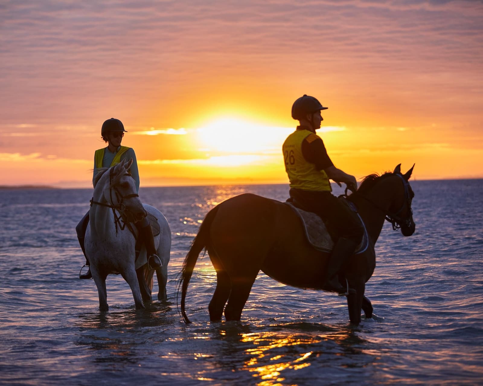 Tubbarubba Arabians Elite Endurance Horses for Sale Melbourne, Victoria