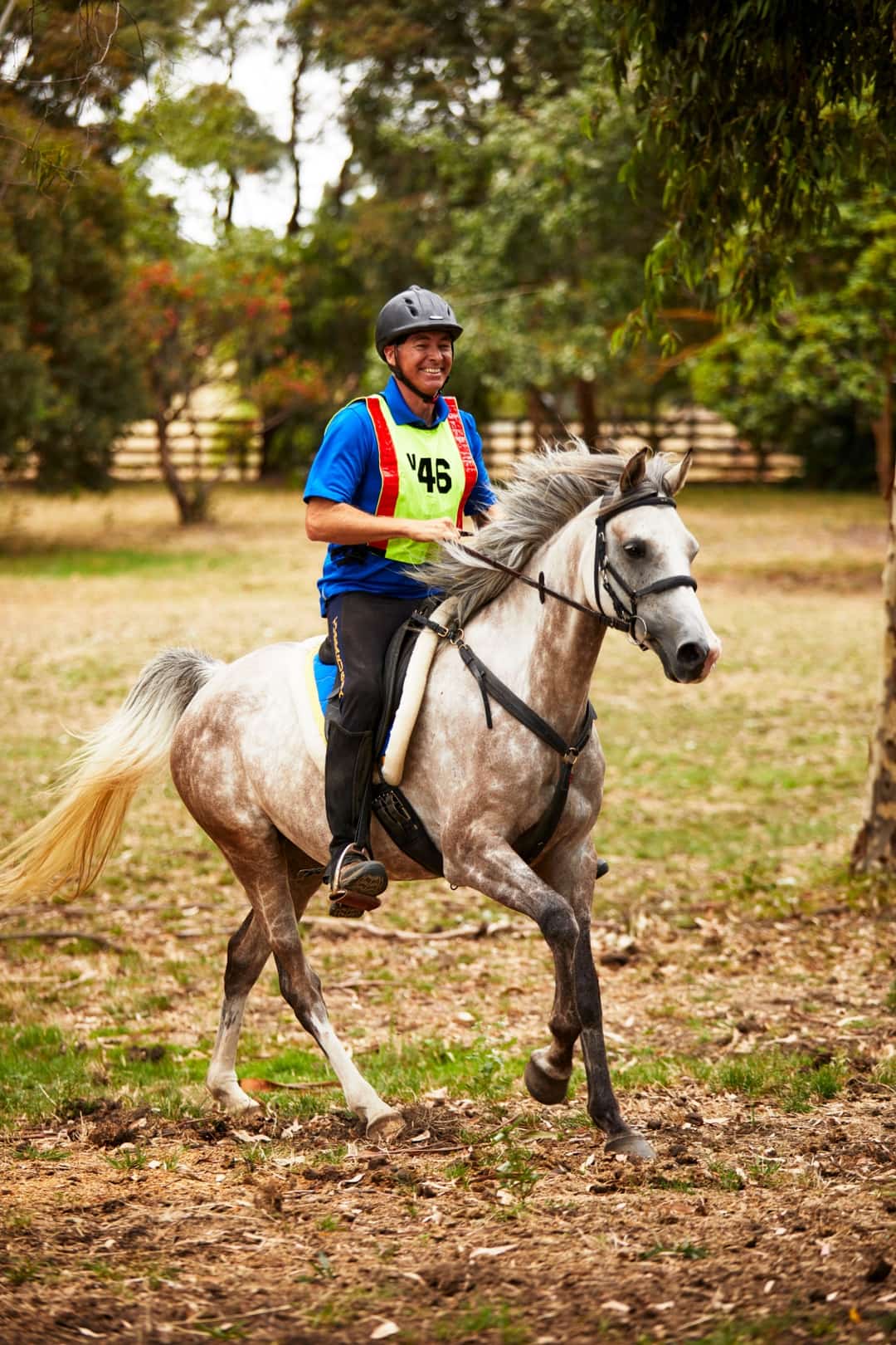 Tubbarubba Arabians Elite Endurance Horses for Sale Melbourne, Victoria