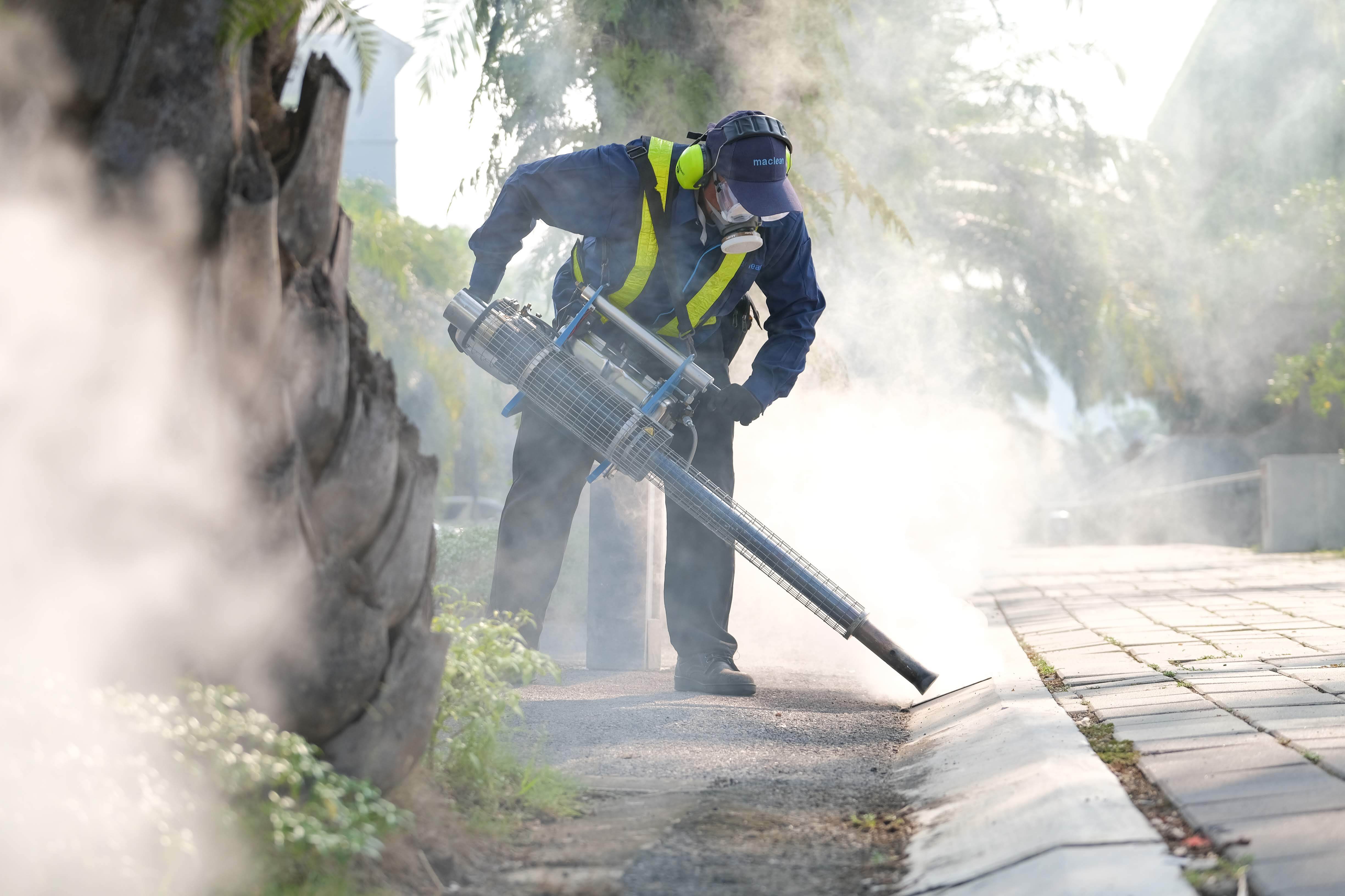 Dengue: How Does Fogging Help