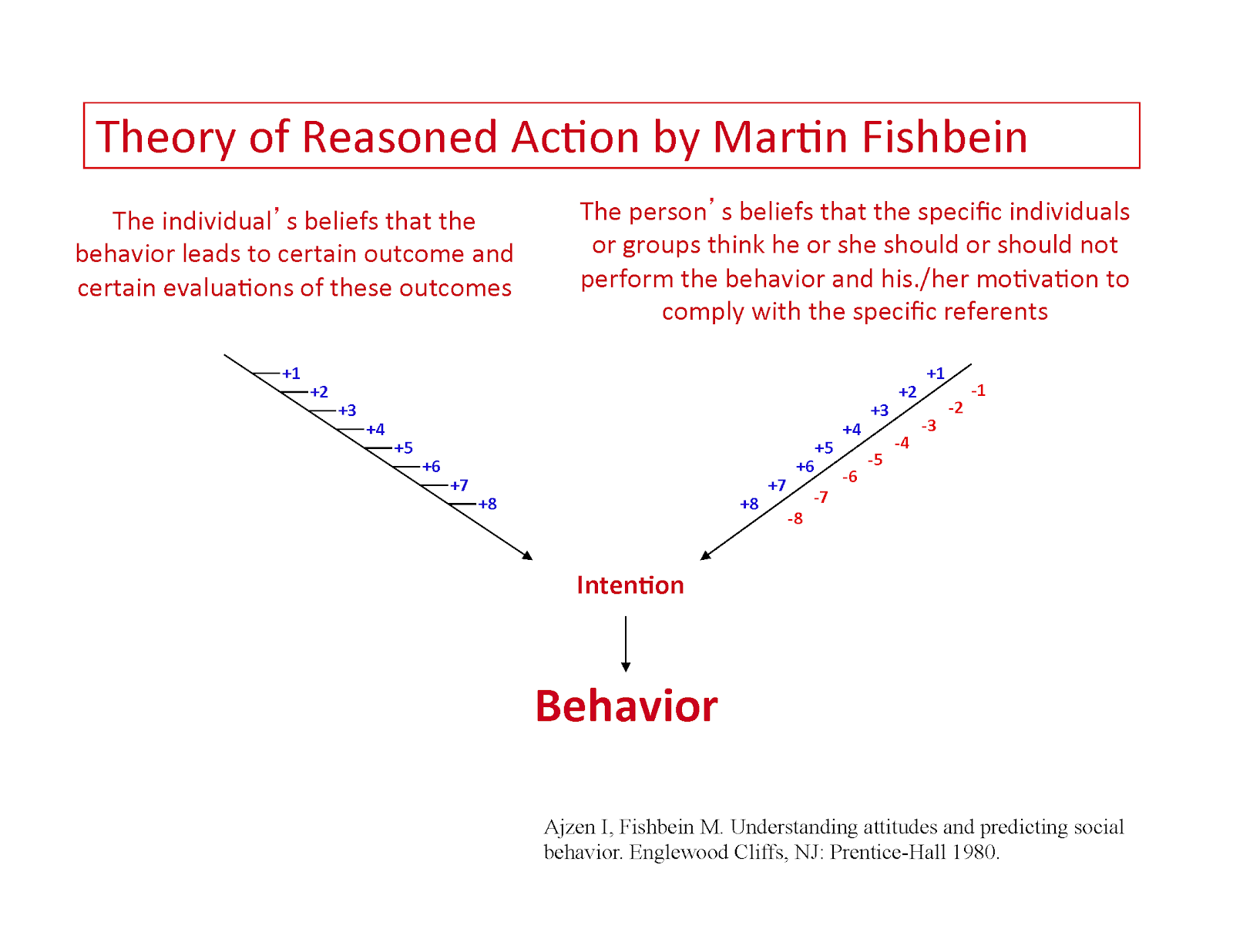 Fishbein Model New