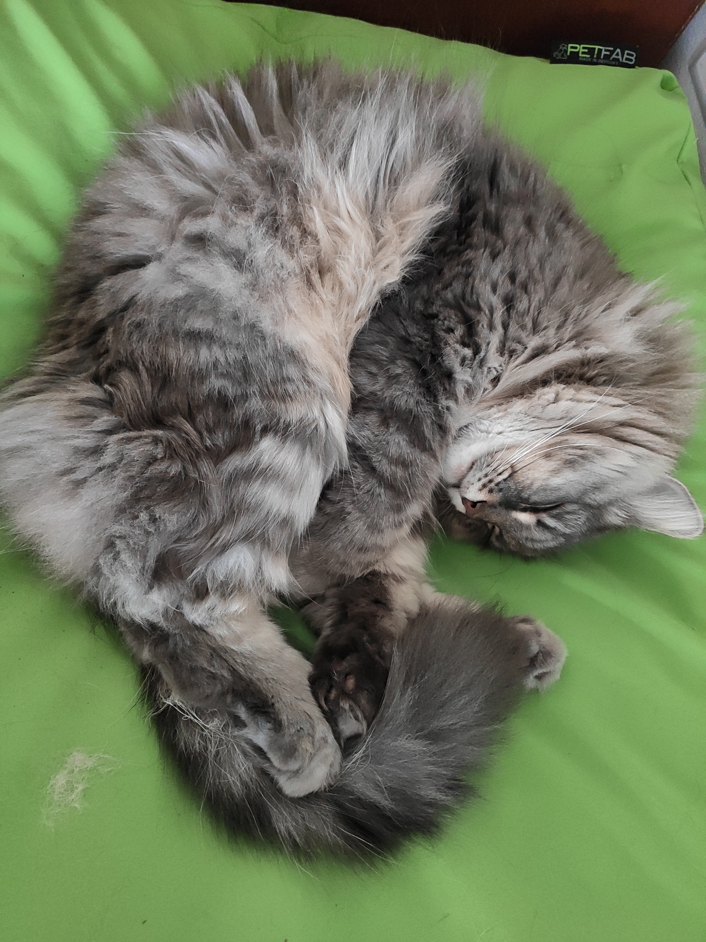 Maro