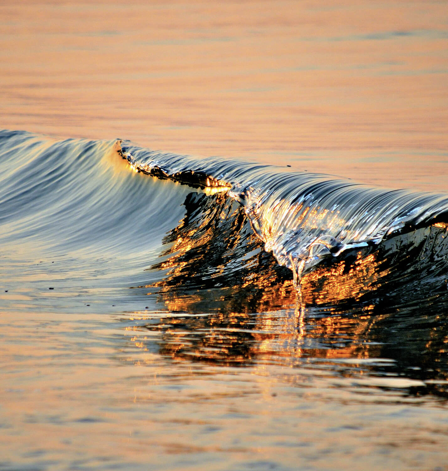 Picture of a Wave