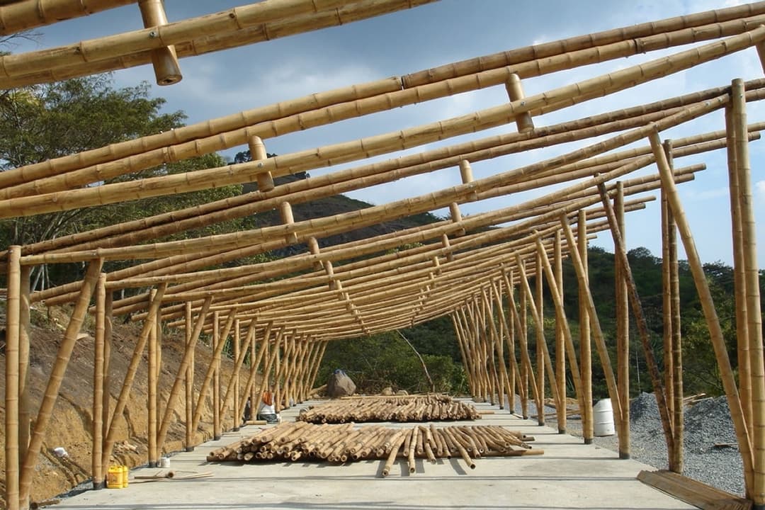 Why Build With Bamboo? Stamm
