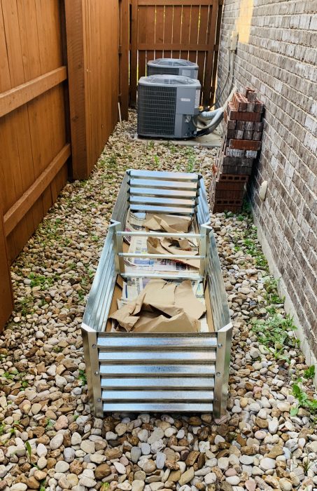 My Covid-19 Victory Garden