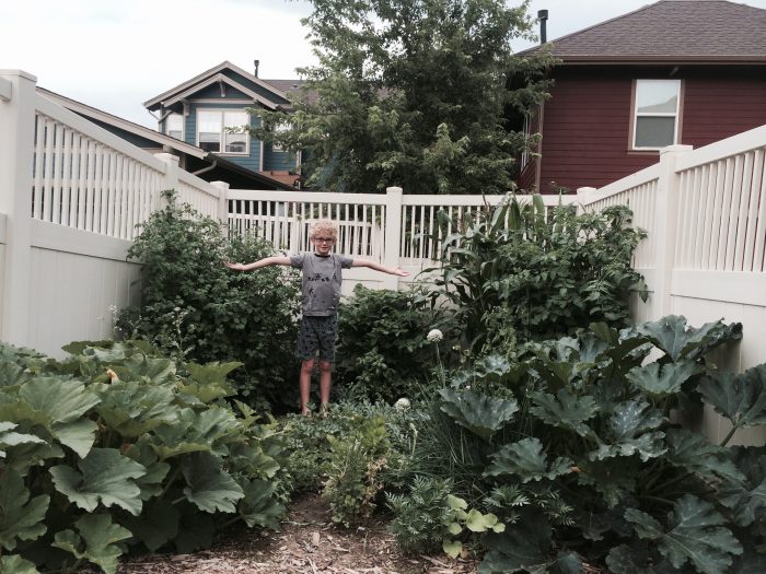 My Covid-19 Victory Garden