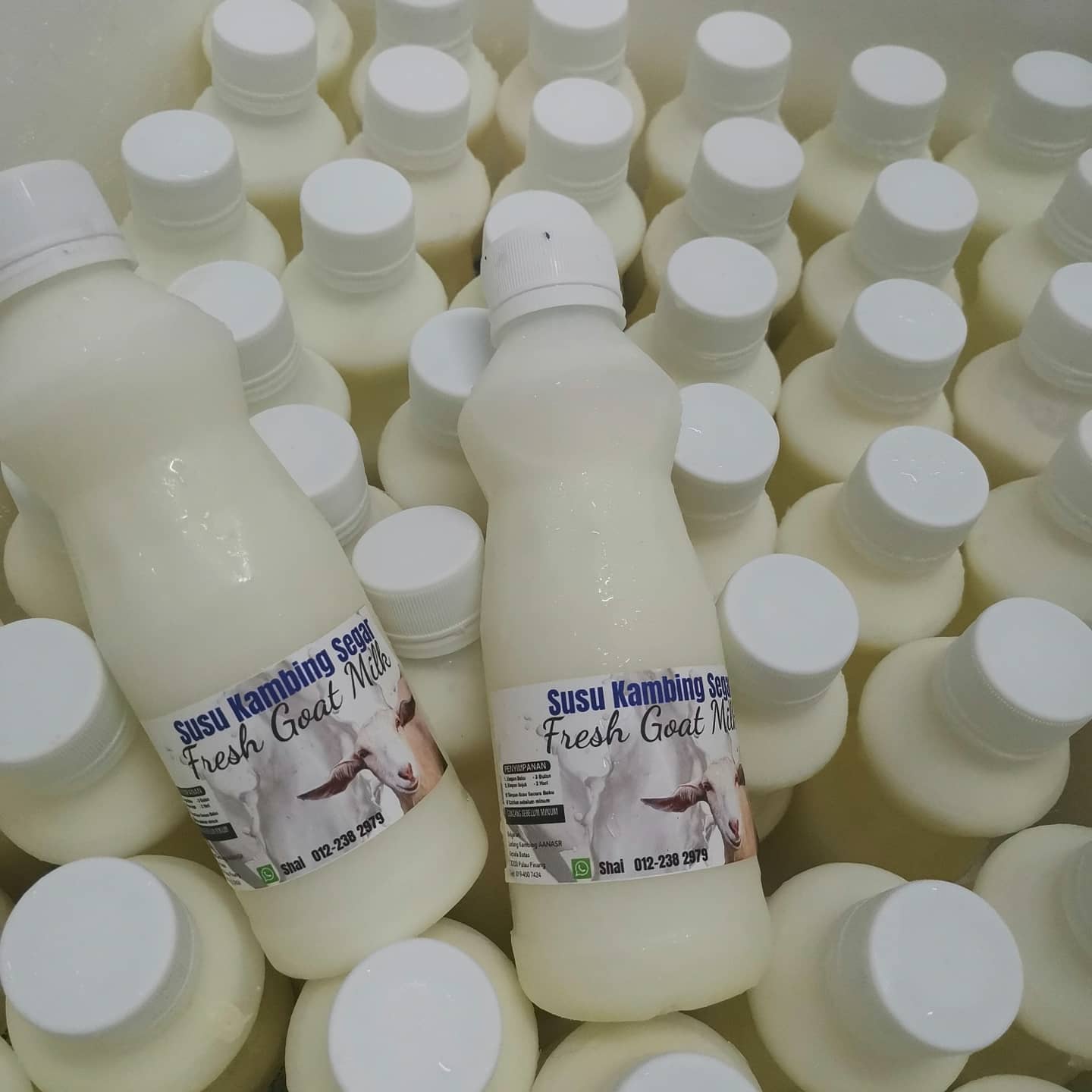 Susu Segar Ampang
