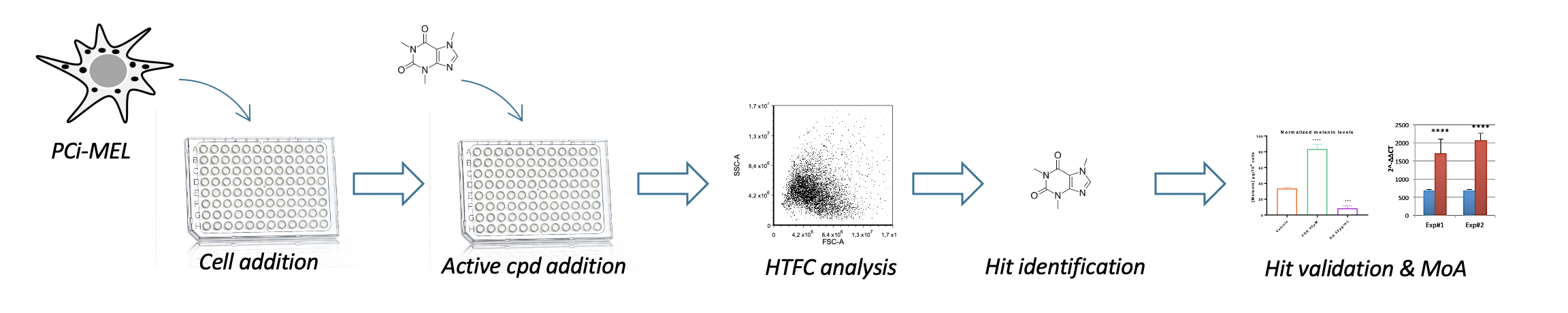 First page of the article A high-throughput screening platform for pigment regulating agents using pluripotent stem cell-derived melanocytes