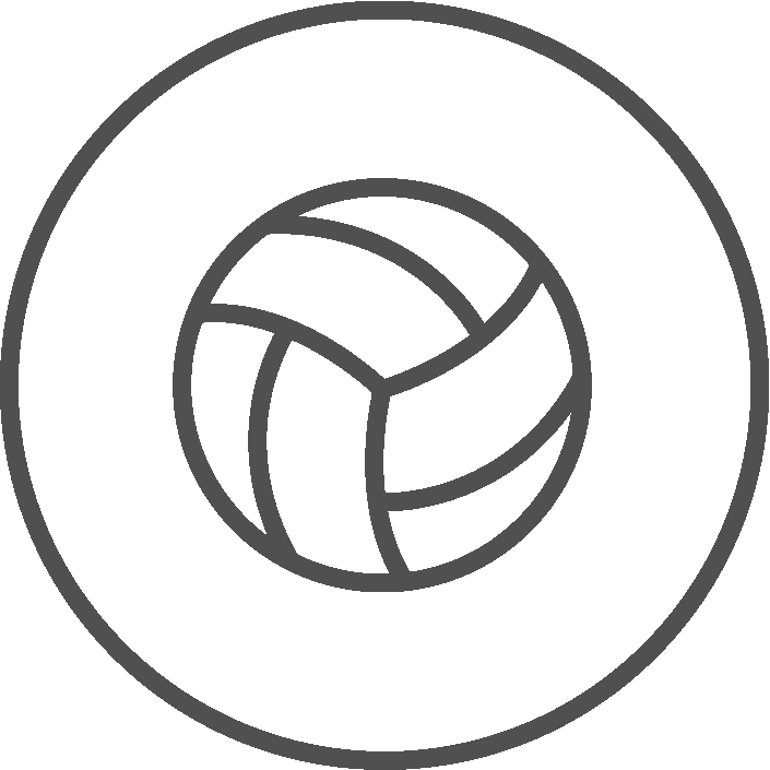 Volleyball Icon