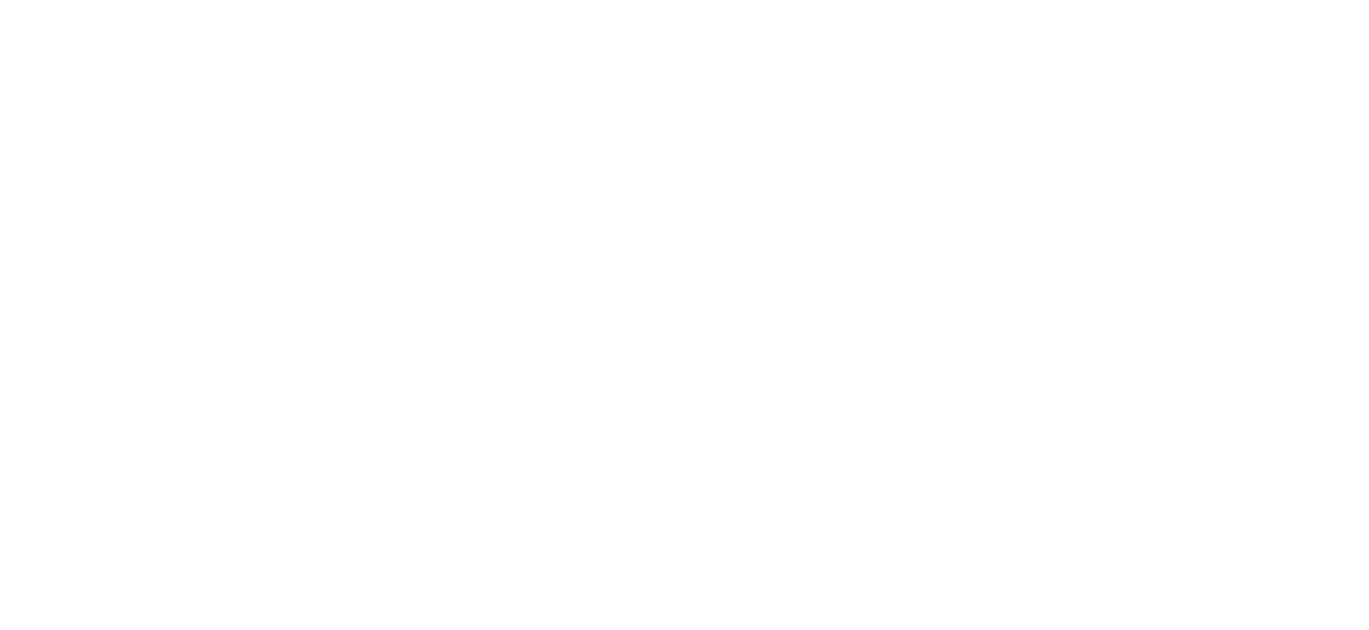 Konii Logo weiss
