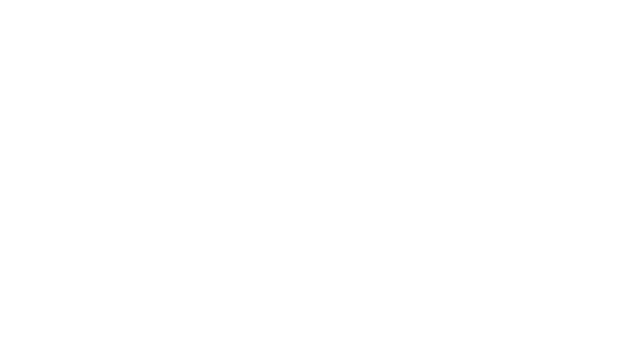 Wepa Logo weiss