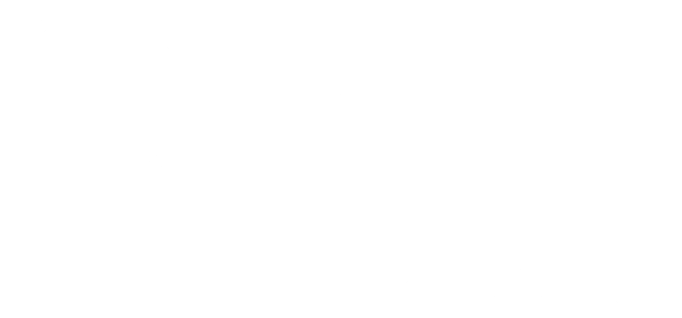 sigel Logo