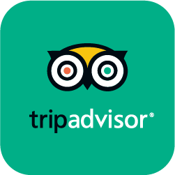 tripadvisor logo