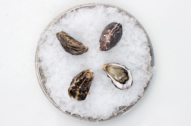 Chelsea Gem Oyster — Oysterology Online Pangea Shellfish Company