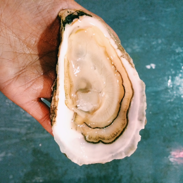 Shuck of the Week Pemaquid Oysters are back in season! Pangea