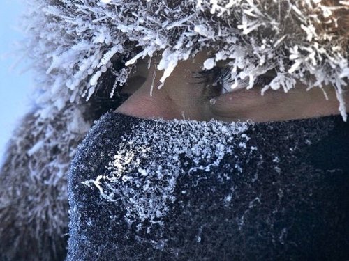 Person in Cold Weather