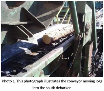 Conveyor Moving Logs into the South Debarker