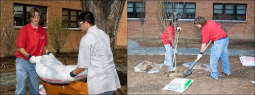 Young Workers, Working for Parks Department