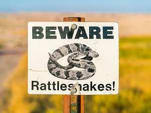 Beware Rattlesnakes Sign