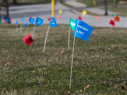 Assorted Utility Flags in Grass