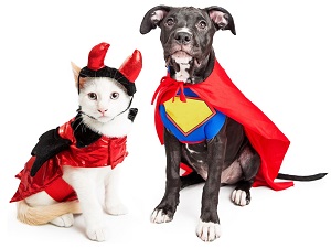 A dog and a cat dressed in Halloween costumes.