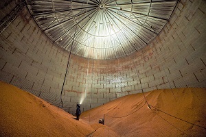 A person standing inside a grain storage bin.