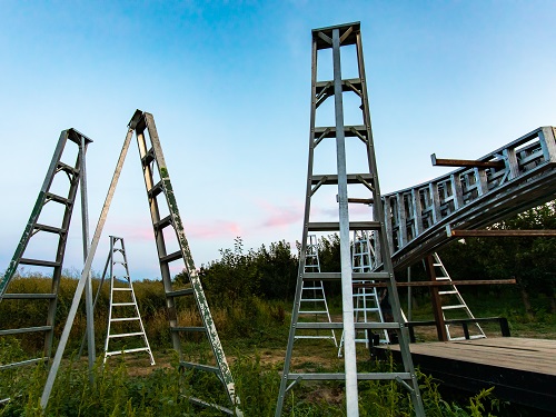 Several Tripod Orchard Ladders ready to be used.