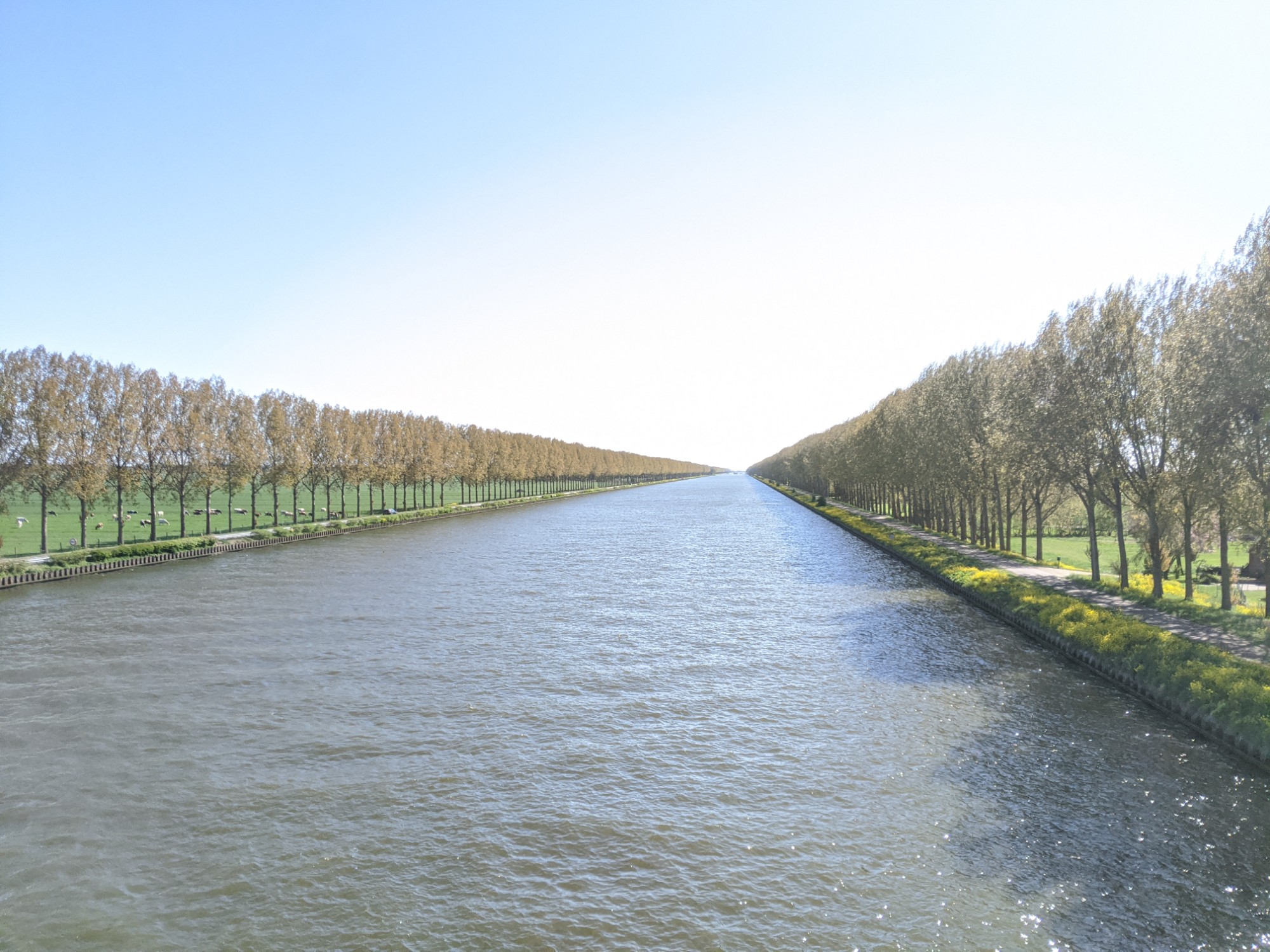 Vereniging Thorium Energie