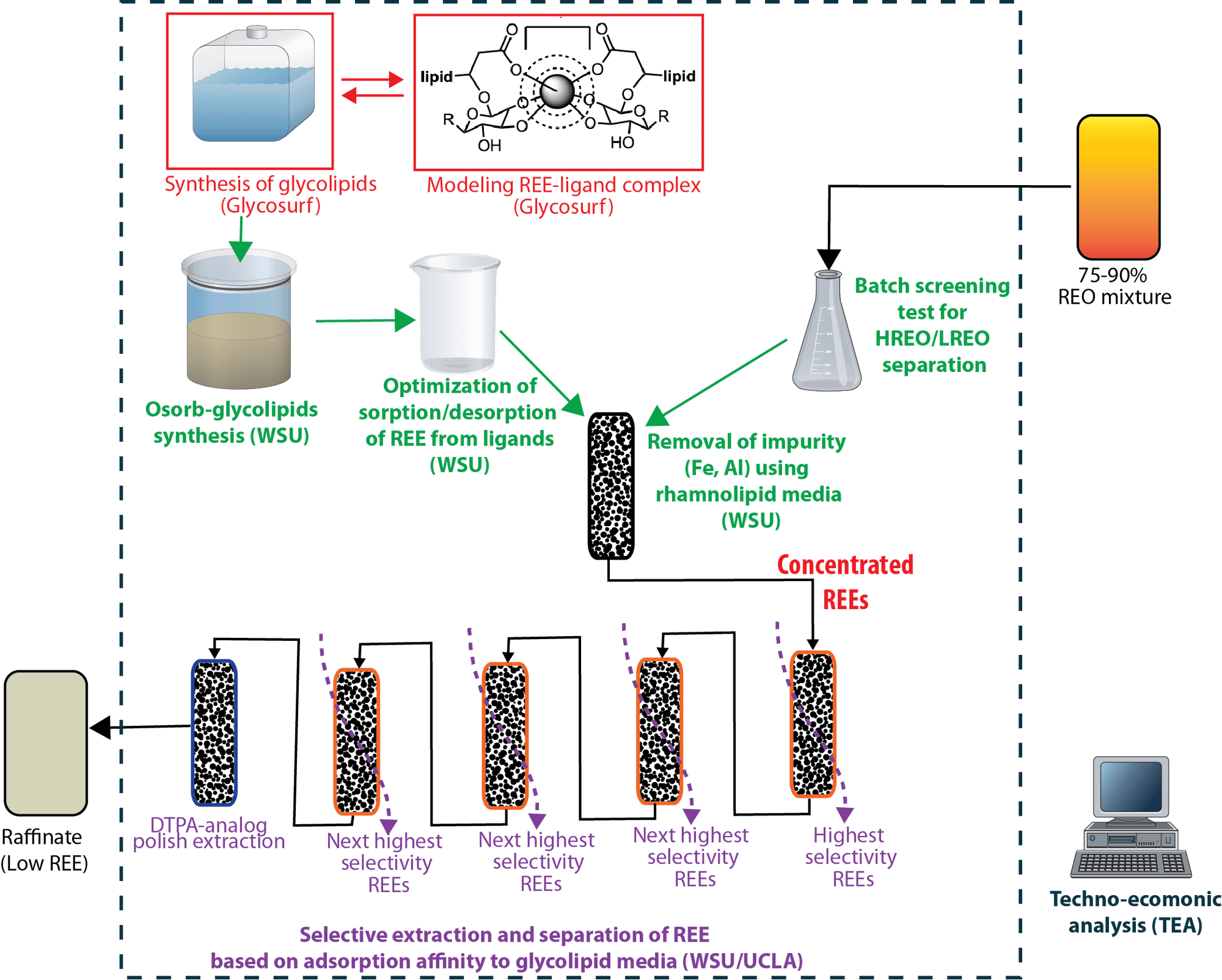 Traditional Ree Extraction Methods Glycosurf