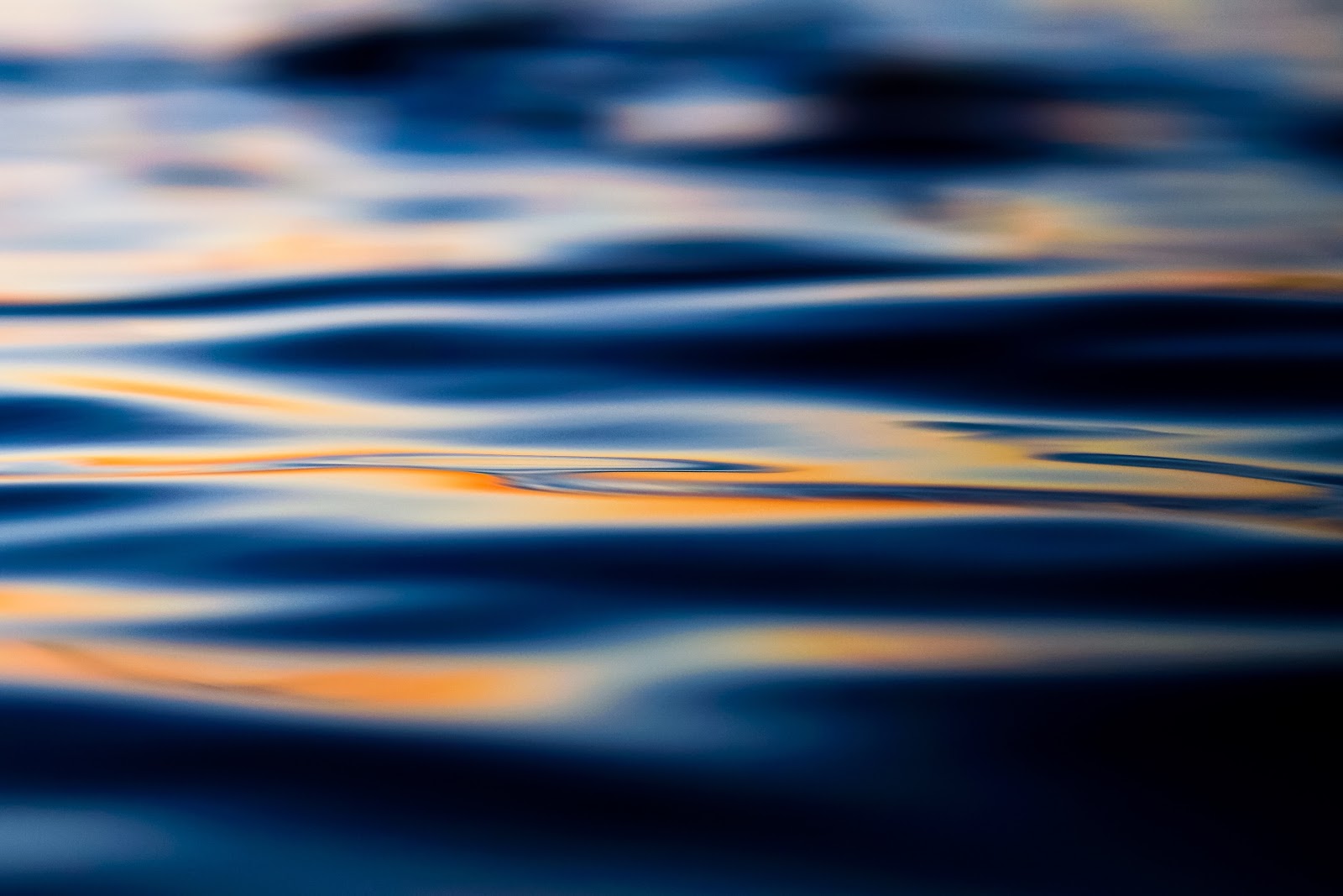 Atticus-aqua-cremation-burial-alternatives-internment-substitutes