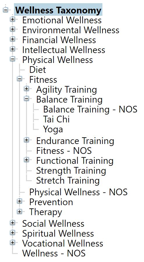 Wellzesta Wellness Taxonomy