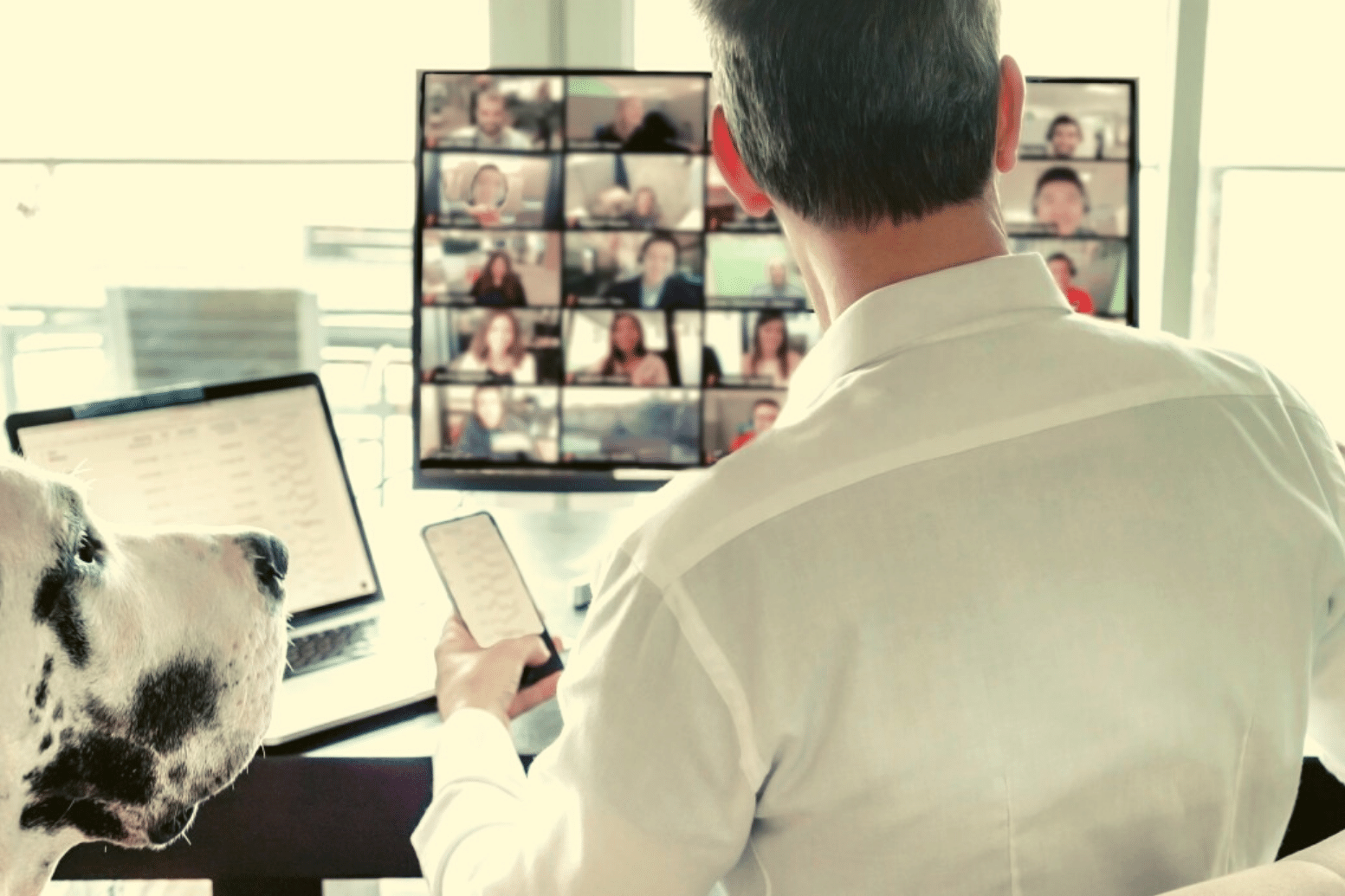 virtual events and meetings