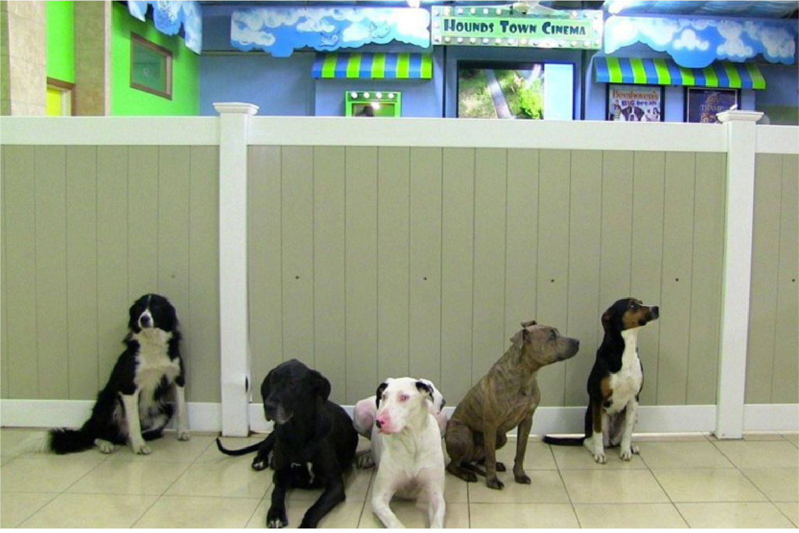 Franchise Times Japan