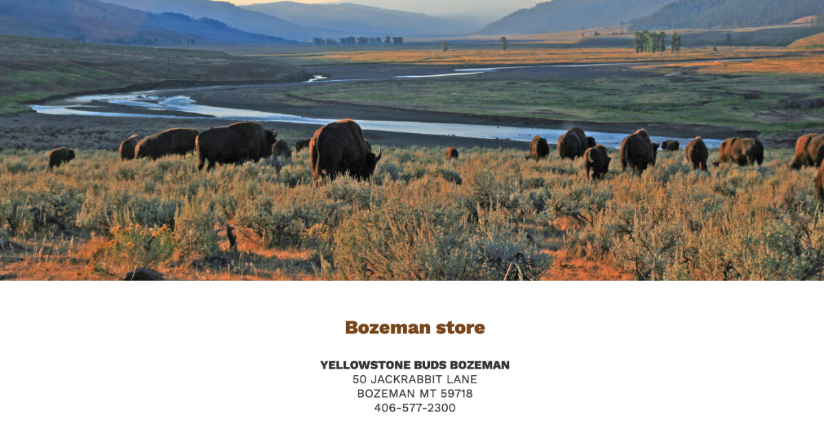 Bozeman Store