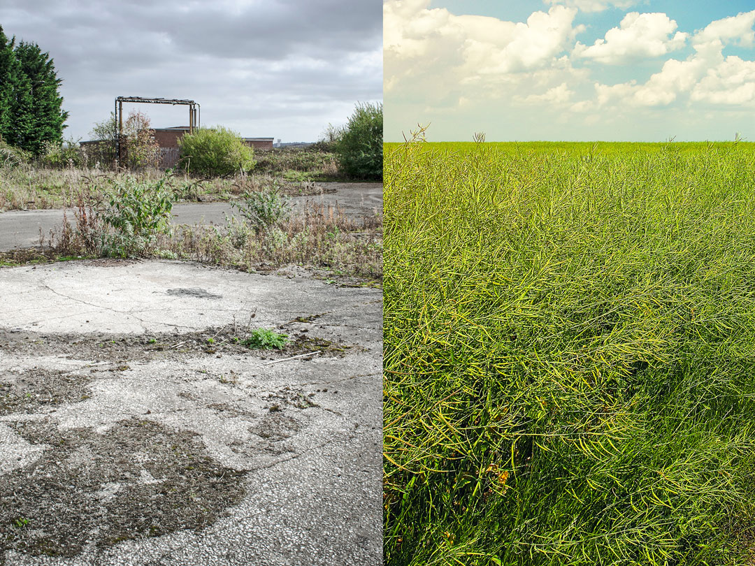 Greenfield vs Brownfield Which is the better option for you