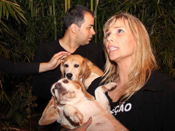 Two of hundreds of beagles rescued from a laboratory by 269life Brazil.