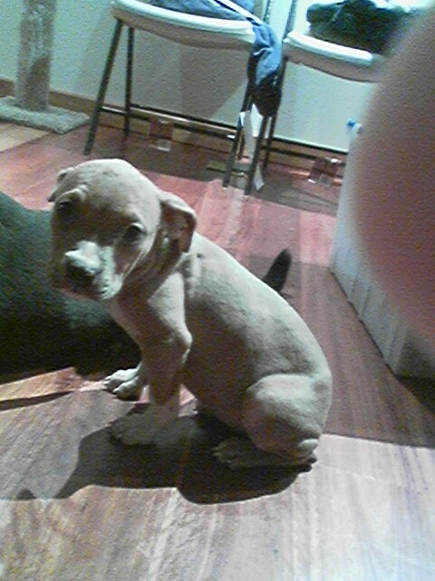 Lisa, on her first day in her new home.