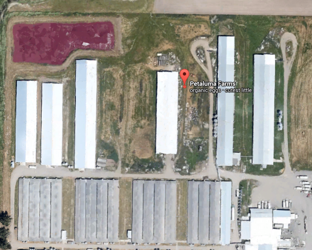 The imaging on Whole Foods's cartons shows green pastures. Google Earth reveals the truth: a massive industrial facility. Note the huge latrine pit in the top left (and compare it in size to the semi trucks in the bottom right).