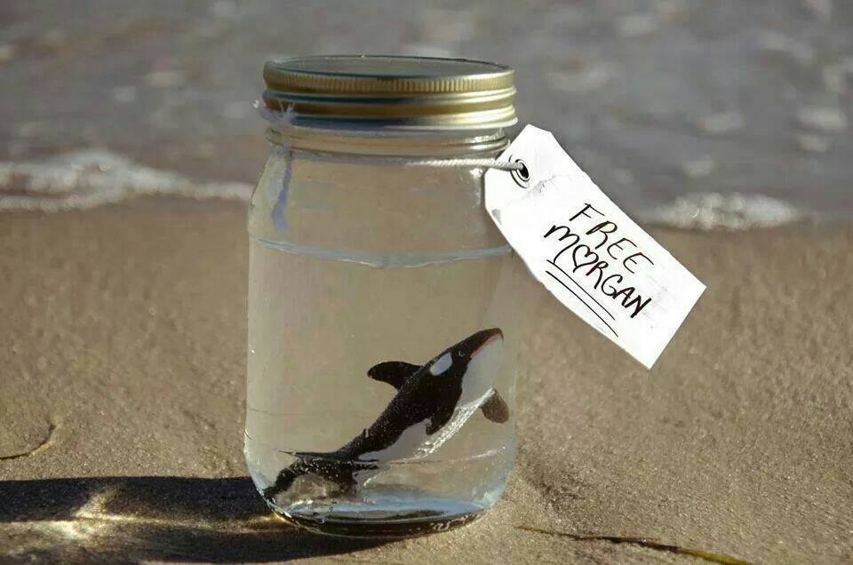Dispelling SeaWorld's corporate spin with events such as Empty the Tanks is key to the push for genuine change.
