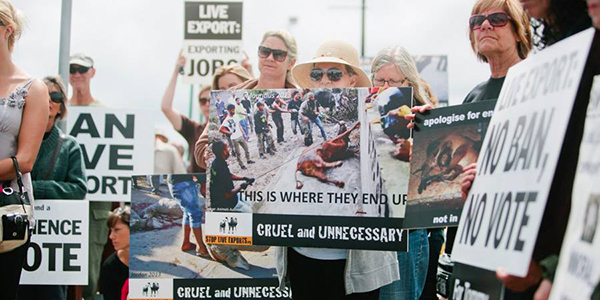Demonstration against live export.