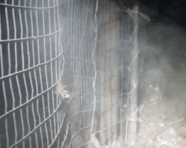Cage-free farms have ammonia levels far higher than caged facilities — so high, in fact, that they violate the industry’s own welfare standards.