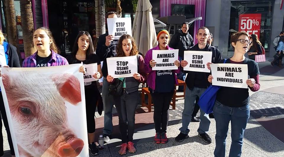 Ana, second from the left, demonstrating for total animal liberation